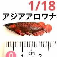 1/18 アジアアロワナ　アロワナ　ミニチュア　魚　ドールハウスに　ジオラマに　リアルフィギュア　フィギュア　ミニチュアイメージ