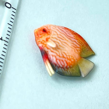 1/10ミニチュア　熱帯魚　ディスカス② フィギュア　完成品　ドールハウスに　ミニチュアイメージ　魚　ペット