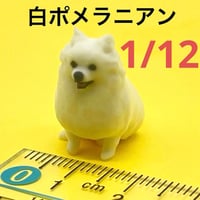 1/12 ミニチュア　ポメラニアン白　犬　フィギュア　ドールハウスに　ペットフィギュア　ジオラマ　ミニカーに