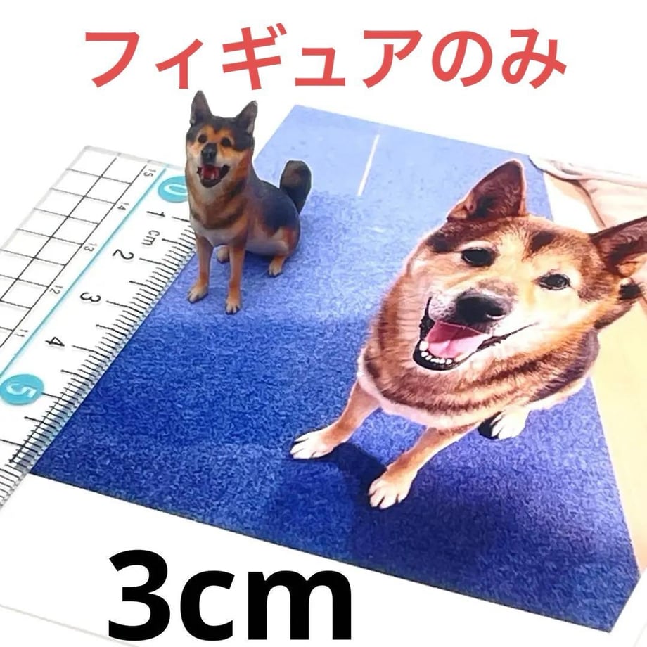 69104ed1b3910ecfd49c55ed