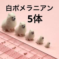 5cm★リオナ6体★フィギュア★完成品★1/64より大★ミニカーに★ジオラマ 1/18 1/24 1/43 1/64 リオナ RIONA フィギュア4体 リアル