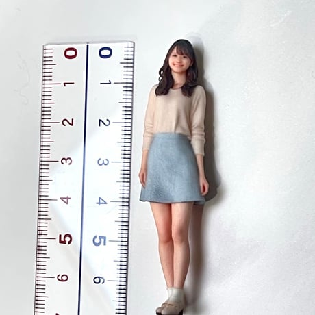 1/24 可愛いお姉さん　フィギュア　ミニカーに　リアルフィギュア　完成品　ドールハウスに　ミニチュア