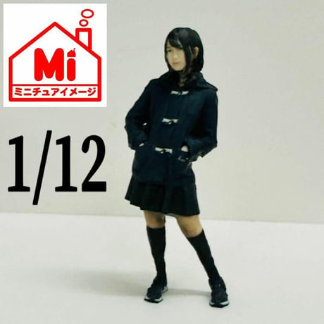 1/12 JKNP フィギュア　完成品　1/64より大　ミニカーに　ドールハウス