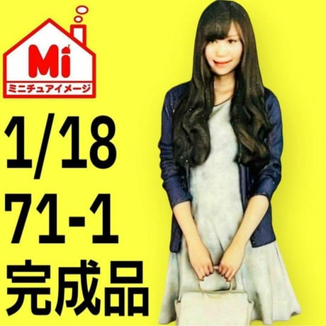 71-1★1/18★フィギュア★1/64より大★ミニカーに★ジオラマに