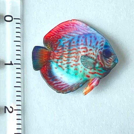 1/10 ミニチュア　熱帯魚　ディスカス　フィギュア　魚　完成品　ドールハウスに