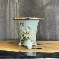 おもと鉢 万年青鉢 3.0-1 | FAT FOOT CLUB's STORE