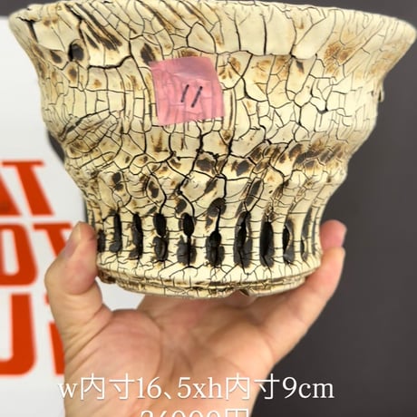 作家鉢3点＜池田佐一郎、美原良、DUNEWORKS＞ CATEGORY POTS・SOIL