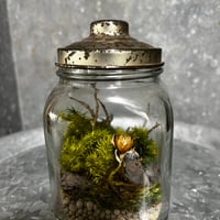 「古いお菓子の瓶で作る森の風景アート」苔プリザ