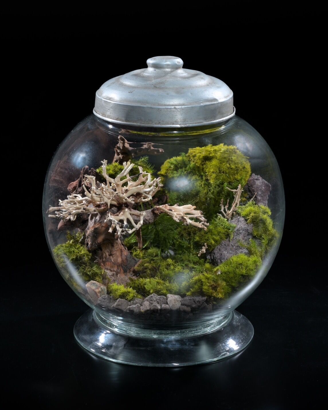 fit=scale-down,w=1200