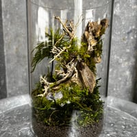 苔プリザテラリウム 「クリスタルの瓶で作る森の風景アート」