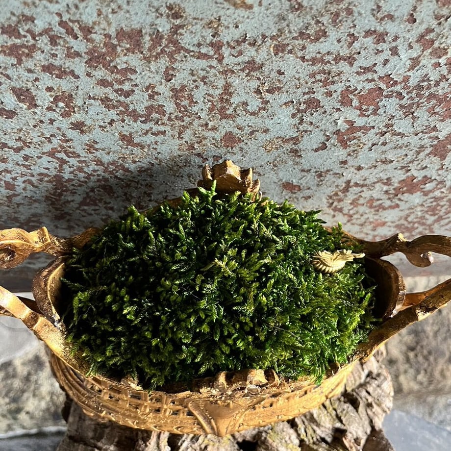 64b3e7f0db24c42fd108e5bc