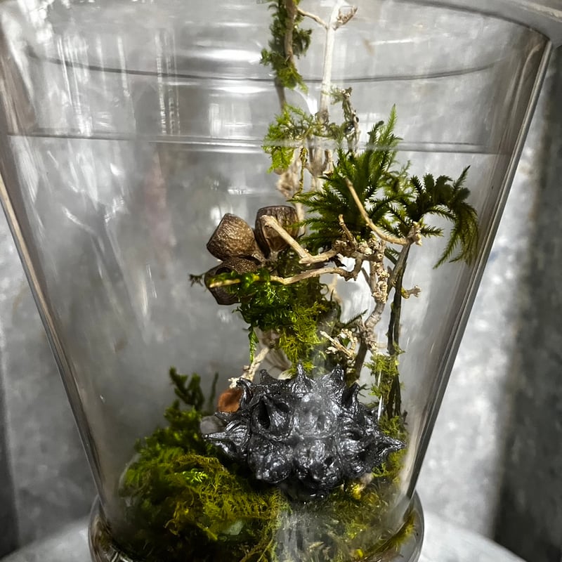 苔プリザテラリウム 「クリスタルの瓶で作る森の風景アート」 | GRACE