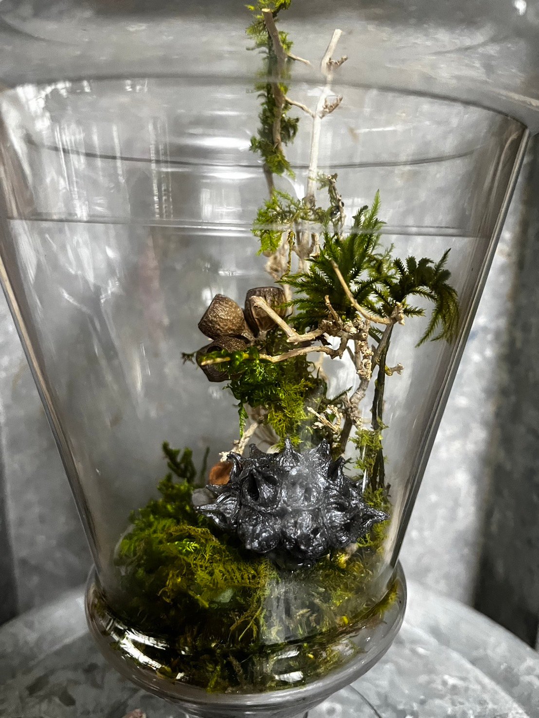 ❣️苔アート❣️テラリウム ガラス製 自然風景 苔テラリウムガラス