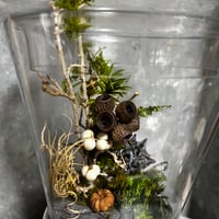 苔プリザテラリウム 「クリスタルの瓶で作る森の風景アート」