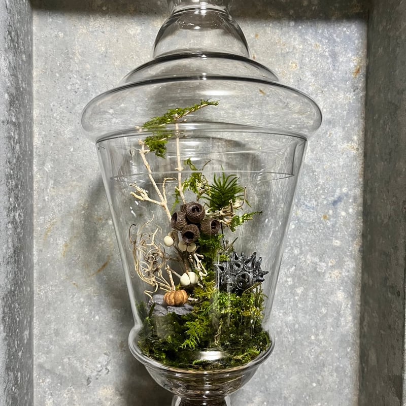苔プリザテラリウム 「クリスタルの瓶で作る森の風景アート」 | GRACE