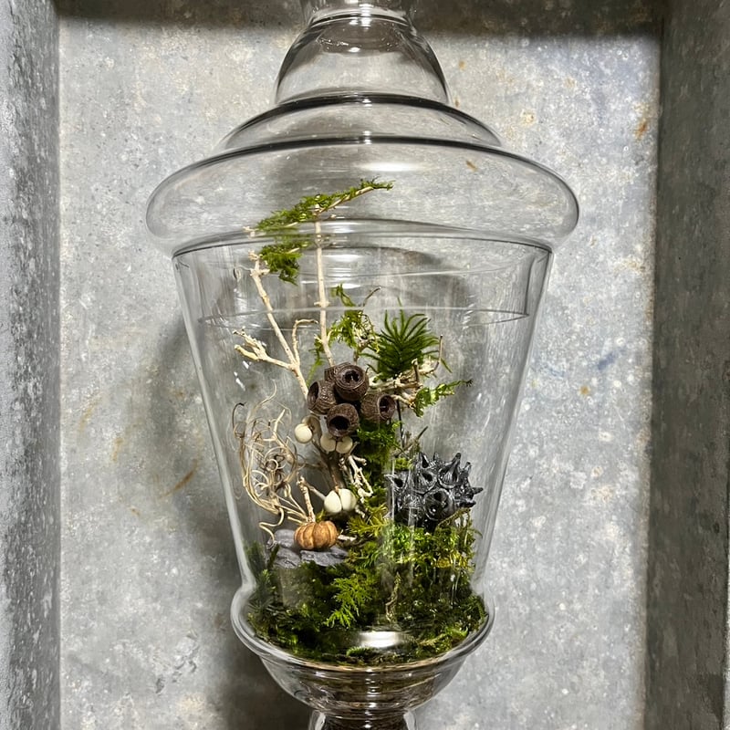 苔プリザテラリウム 「クリスタルの瓶で作る森の風景アート」 | GRACE
