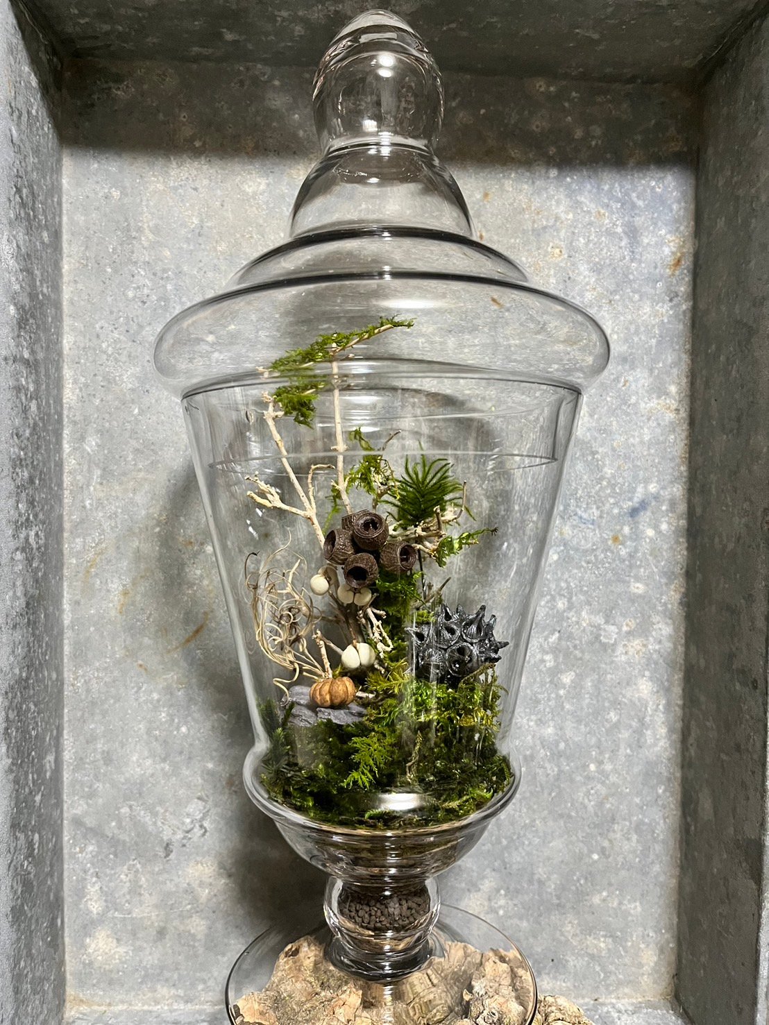 苔プリザテラリウム 「クリスタルの瓶で作る森の風景アート」 | GRACE