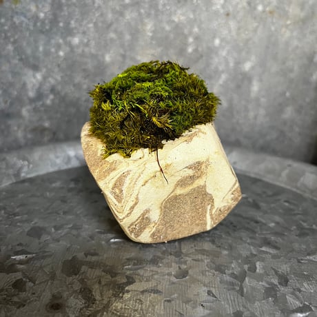 陶器オリジナル　苔プリザーブド