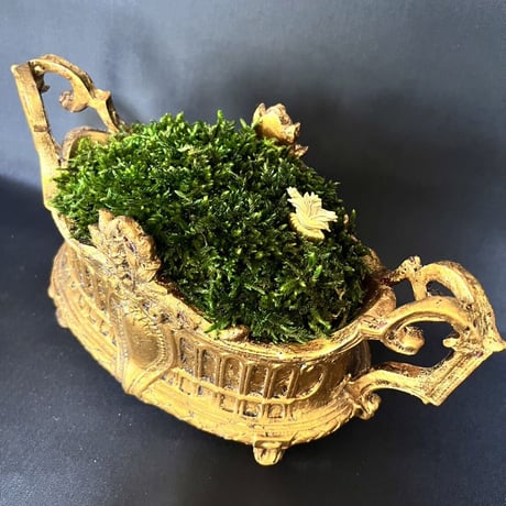 金の王冠　苔プリザ