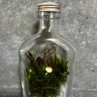 苔プリザテラリウム 「クリスタルの瓶で作る森の風景アート」