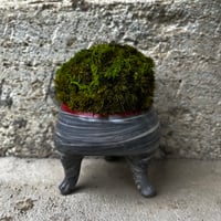 陶器作家×苔プリザーブドコラボ 猫足