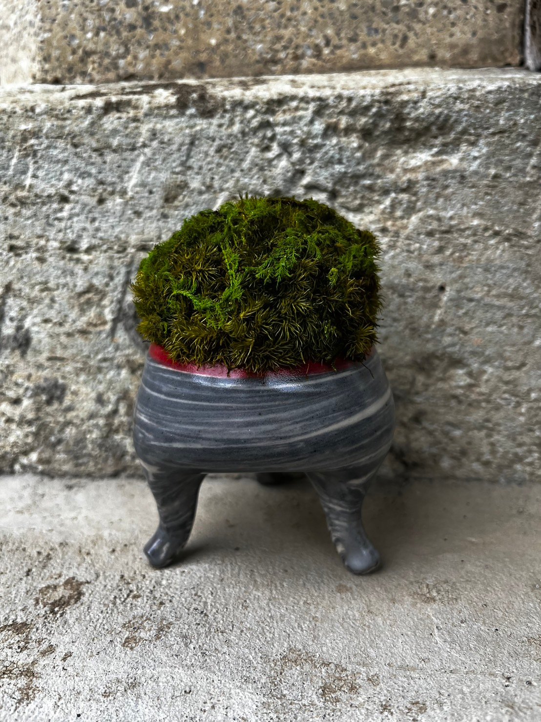 陶器作家×苔プリザーブドコラボ 猫足 | GRACE