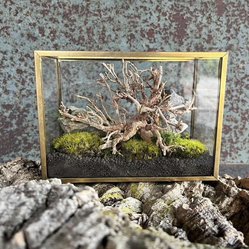 風景 苔プリザ 心地よい癒しや豊かな雰囲気を演出 流木 石のアレンジ