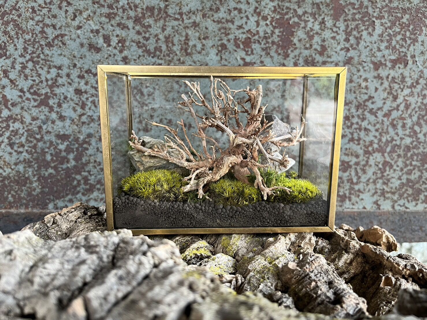 苔付流木台座付き、化石魚２枚 original