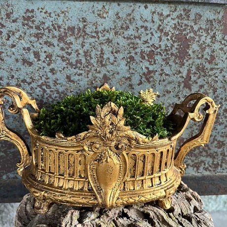 金の王冠　苔プリザ