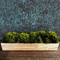 癒しの空間　苔プリザ　ウッドロング