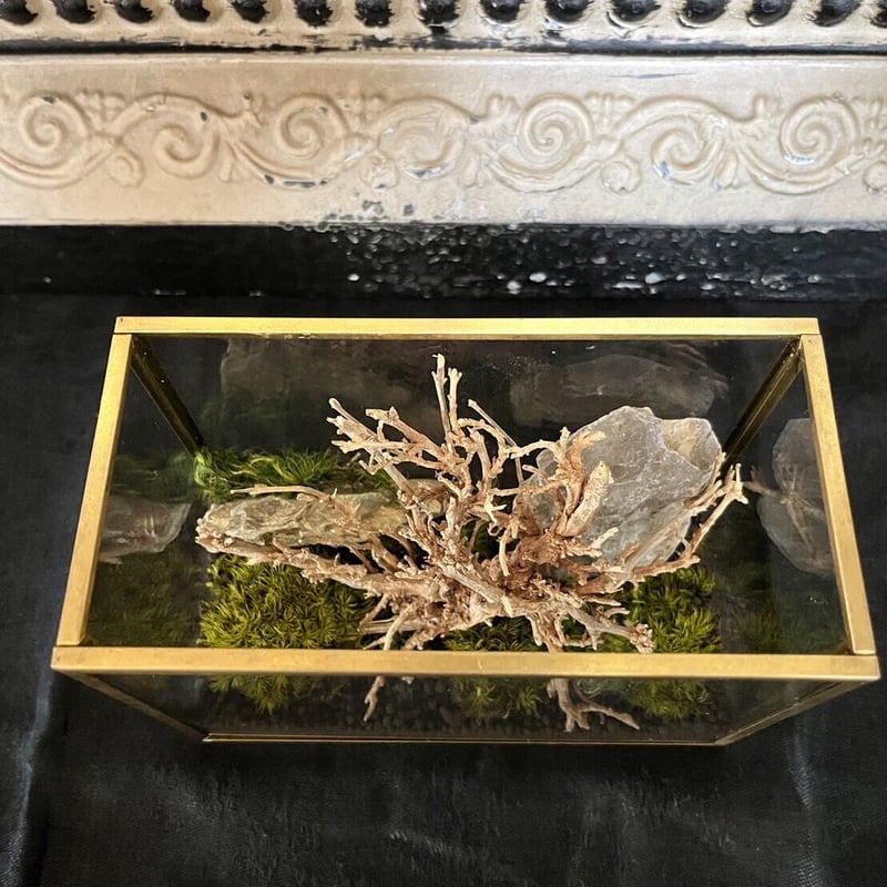 苔付流木台座付き、化石魚２枚 風景 苔プリザ 心地よい癒しや豊かな雰囲気を演出 流木 石のアレンジ
