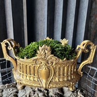 金の王冠　苔プリザ