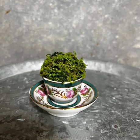 癒しの空間　苔プリザ　 アンティーク陶器 グリーン×ピンク