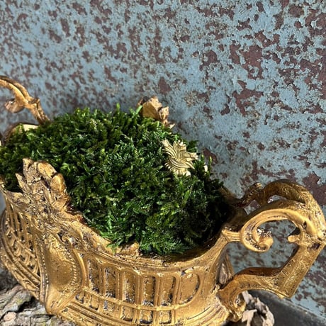 金の王冠　苔プリザ