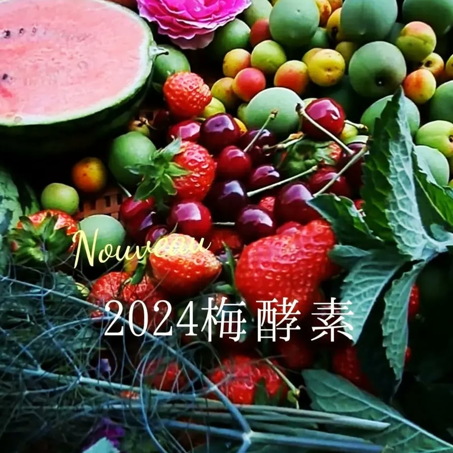 67e53281ae8e9ed7bef81768