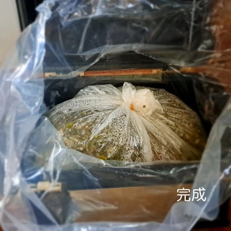 (準備中)11/29(日)お漬物フェスティバル in横浜