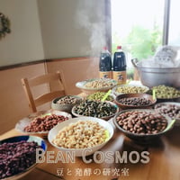 8/16 BEAN COSMOS～豆と発酵の研究室～