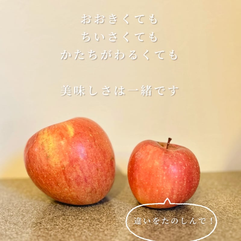 【りんごちっぷ】他の方購入禁止！！ パリパリりんごチップス(訳アリ大サイズ) | きいろ堂