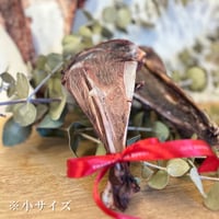 信州鹿の肩甲骨ブーケ「Bouquet of bones」