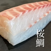 お魚×無塩味噌せんべい【春限定】桜鯛　(小サイズ)