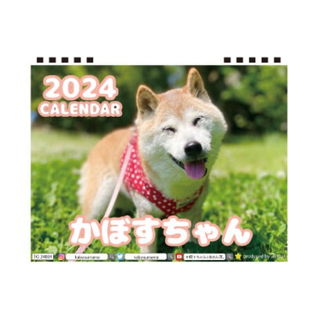 【予約販売】 柴犬のかぼすちゃん 2024年 卓上 カレンダー TC24201