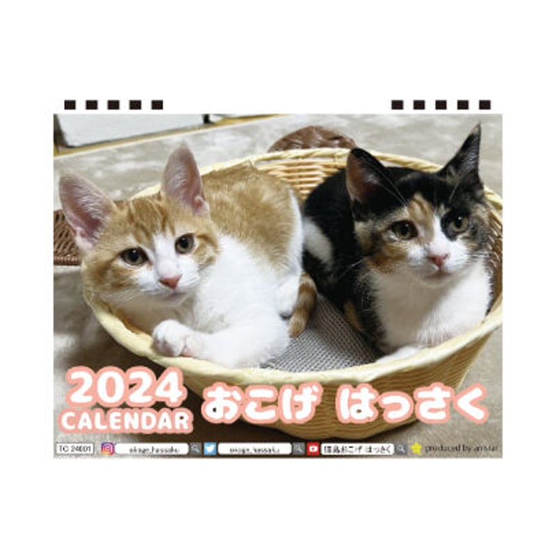 予約販売】 猫のおこげ はっさく 2024年 卓上 カレンダー TC24206
