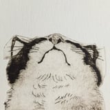 むくどり洞