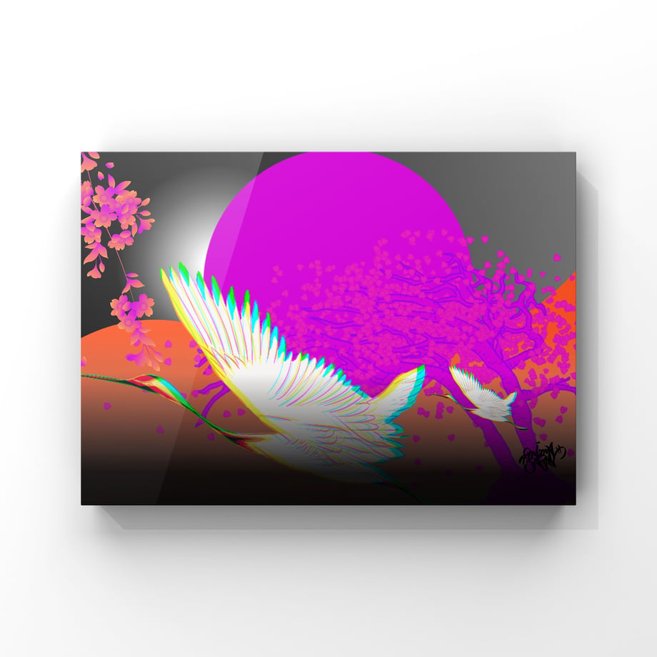 64ec80c6c7a8720029c19287