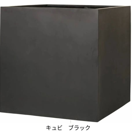 マグナス キュビ
