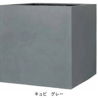 マグナス キュビ