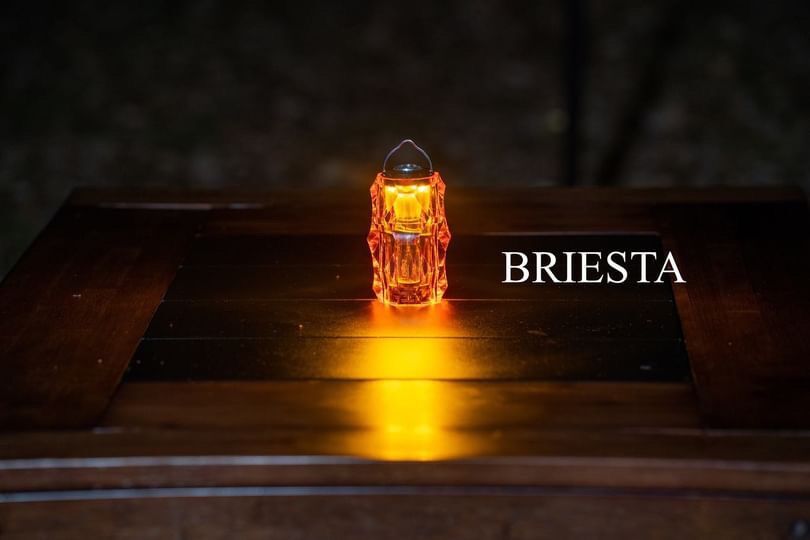 NUTS BRIESTA アンバー | Y's Camp Market