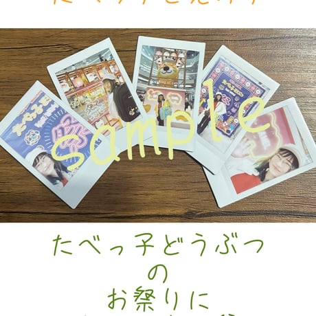 たべっこ様専用ページ （わんちゃん薬膳食とスィーツ座談会