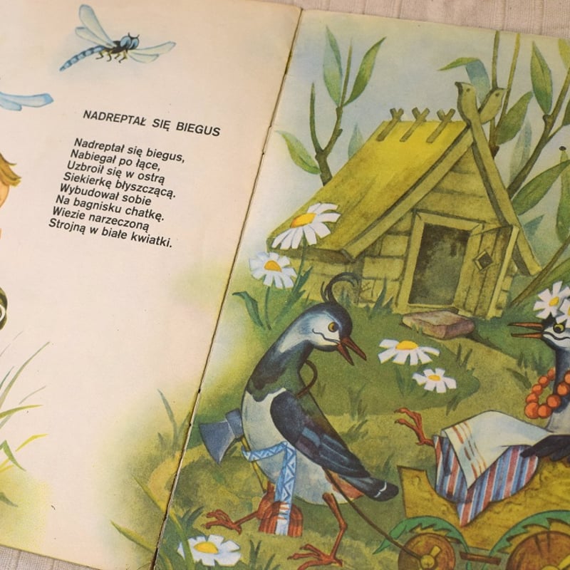 ポーランド】絵本 Myszkę po wodę posłano | kalejdoskop