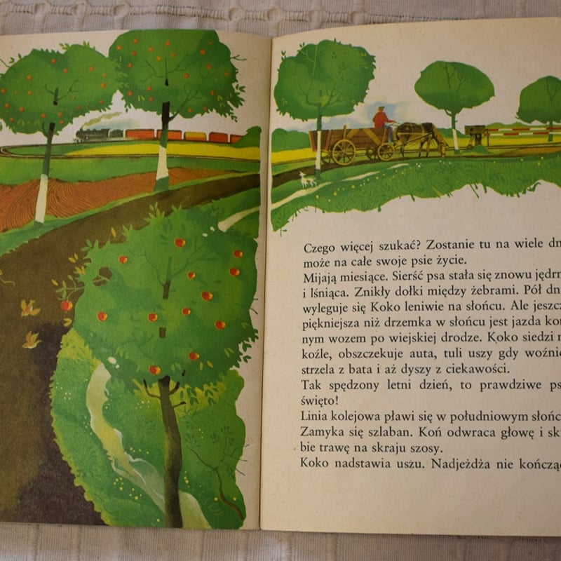 RV175 洋書 ポーランド語絵本 色んな作家さんの7話のお話し♪ RV175 洋書 ポーランド語絵本 色んな作家さんの7話のお話し